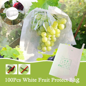 100PCs Outdoor Garden Fruit Vegetable Plant Protect Paper Bag Waterproof Mesh Anti Insect Fly Bird Protect Cover Pembalut Buah Jambu