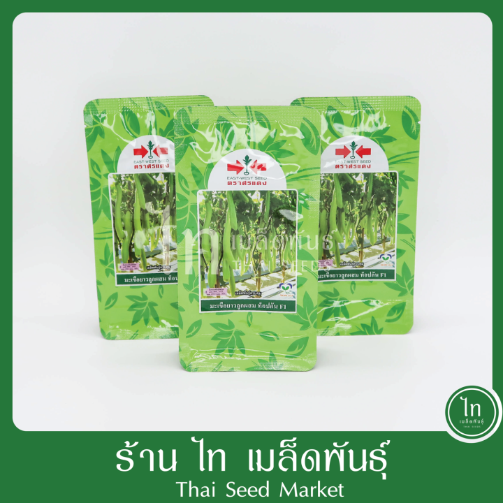 7 อันดับเมล็ดพันธุ์ผักสวนครัวยอดนิยม ปลูกง่าย ผลดก อัปเดตปี 2025