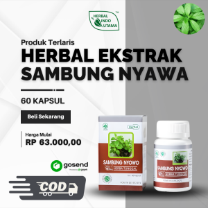 Ekstrak Sambung Nyawa 60c - Herbal untuk Kolesterol Hipertensi & Kesehatan Ginjal - sambung nyowo