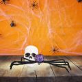 DOIFU Headwear Halloween Black Spider Hairpin Spider Long Leg Halloween Headdress Hair Stage Performance Props Purple Spiders Hair Barrettes Party Supply. 