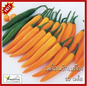 50 เมล็ด พริกเหลือง เมล็ดพริกเหลือง พริก เมล็ดพริก