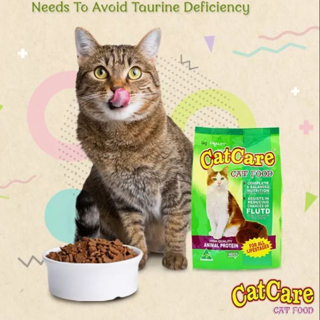 CatCare Cat Food Dry 1kg ORIGINAL PACK Cat Care Vitality Lazada PH