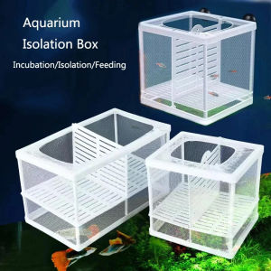 AQUARIUM FISH BREEDER BOX | FISH ISOLATION BOX | FISH MESH BOX | SICK FISH BOX | 隔离网盒