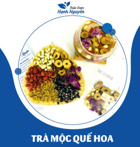 5-10 set Trà đông trùng hạ thảo mix set (Đông trùng táo đỏ long nhãn kỳ tử) - Thảo Dược Hạnh Nguyên