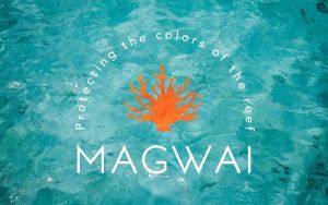 MAGWAI Bath Essential Bundle | 2 Shampoo Bars + Coral Beach Towel
