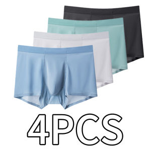 4PCS Boys Silk-Like Underwear - Anti-Bacterial Breathable Trunks Seamless Mid-Rise Boxer Briefs