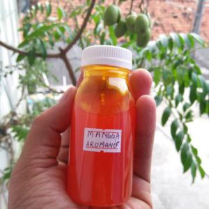esen oplosan mangga aromanis umpan ikan mas GT