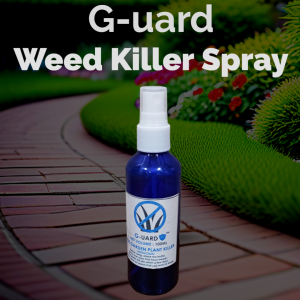 GRASS AND WEED CONTROL WITH ROOT KILL by G-UARD - Total Herbicide Solution [NEXT DAY SHIPPING] (Rumput Liar/杂草/களைகள்)