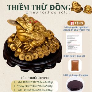Thiềm Thừ đồng(Cóc 3 Chân) tặng (đế kê gỗ + xu rời ngậm bột ngũ vị bao sái(video) 3 size