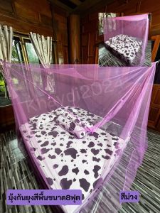 มุ้งกันยุง สีล้วนขนาด 8 ฟุต