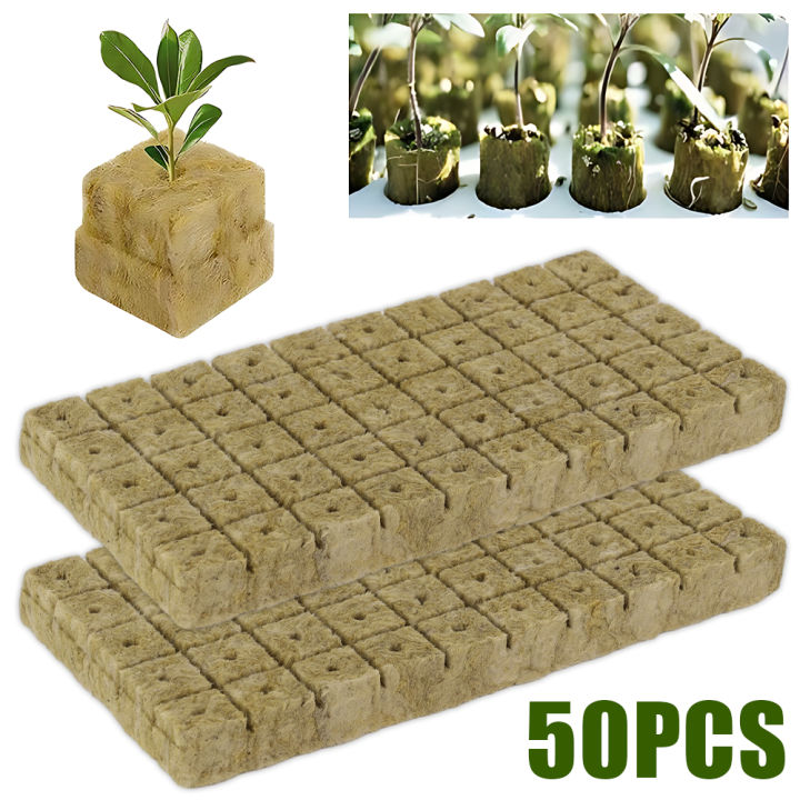 50pcs 25x25x25mm Square Rockwool Seedling Blocks Hydroponic Growth ...