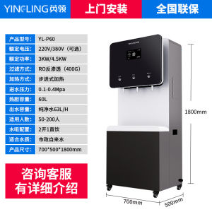 British Collar Direct Drinking Water Dispenser Commercial Water Purifier Heating All-in-One hine RO Reverse Osmosis Filter Water Dispenser Vertical Water Purifier