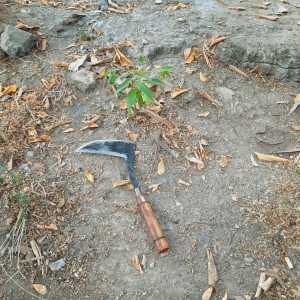 Arit Susruk / Jompong / Cengkrong Ukuran Besar Bahan Baja Per ASLI