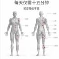 XIAOMI Digital Therapy Machine Full Body Massager Acupuncture Tens 8 Mode Electric Stimulator Acupuncture Body Massage针灸经络 按摩仪EMS按摩器按摩贴. 