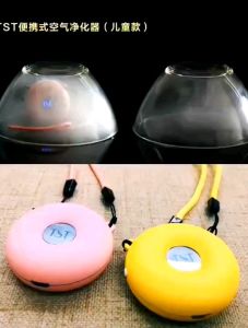 Original TST Portable Anion Air Purifier
