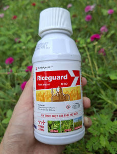 [THIEN THINH SHOP] 1 CHAI TRỪ CỎ RICEGUARD 40 OD 250ML TRỪ CỎ LỒNG VỰC CỎ CHỈ CỎ ĐUÔI PHỤNG VÀ CÁC LOẠI CỎ HẬU NẢY MẦM TRÊN RUỘNG LÚA
