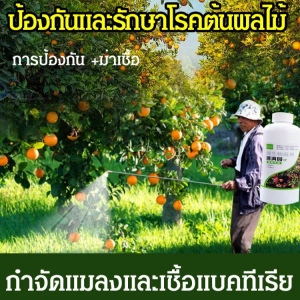 ยาฆ่าเชื้อราจุลินทรีย์ การฆ่าเชื้อ การควบคุมศัตรูพืช ปุ๋ยทำสวนผลไม้