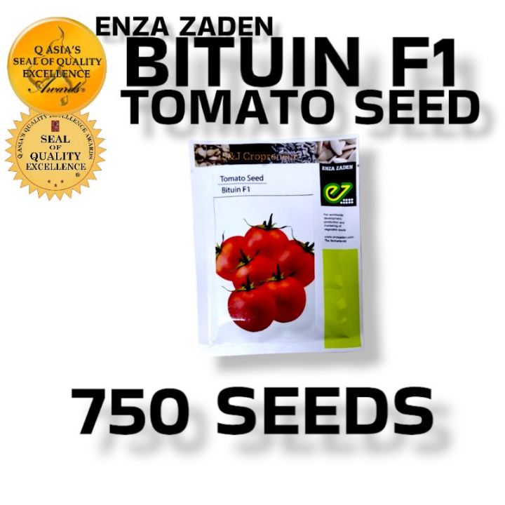 BITUIN F1 HYBRID TOMATO SEEDS (750 SEEDS) ENZA ZADEN | Lazada PH