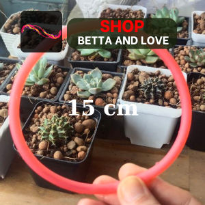 Vòng chắn bèo cho bể cá tép cảnh - Nhiều size - Tiện lợi để ngắm cá - bằng nhựa dẽo chất lượng - Không biến dạng khi trời nóng.