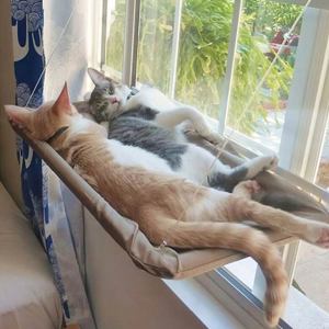 【Dikirim dlm 24jam】55*35cm Tempat Tidur Kucing Gantung Cat Hammock Kucing Bed Window Mounted Tempat Tidur Ayunan Kucing