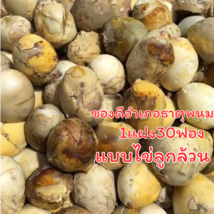 ส่งทุกวันจันทร์และพฤหัส ไข่ลูกอ่อนสุก 30ฟอง ไข่ไก่เวียดนาม ไข่ลูกลาว ไข่เป็ดเวียดนาม ไข่ร้างรัง ไข่ฮ้างฮังส่งทุกวันจันทร์และพฤหัส