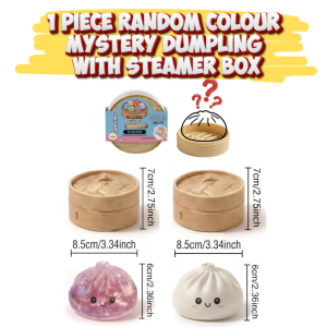 Rainbow Mystery Squishy Dumplings Hunt Squishy Dumpling Mystery Box (Pack of 2) Relief Stress Gift Set
