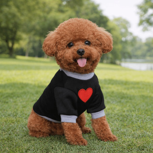OUTOPEN Thickened Dog Love Hoodie Warm Comfortable Dog Two Leg Clothing Pet Warmer Tops Soft Cat Pullover Autumn Winter