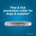 Seresto Elanco Repellent collar for Cat Small Dog Antiparasitic Adjustable Puppy Kitten Collar Breakaway Pet Accessories. 