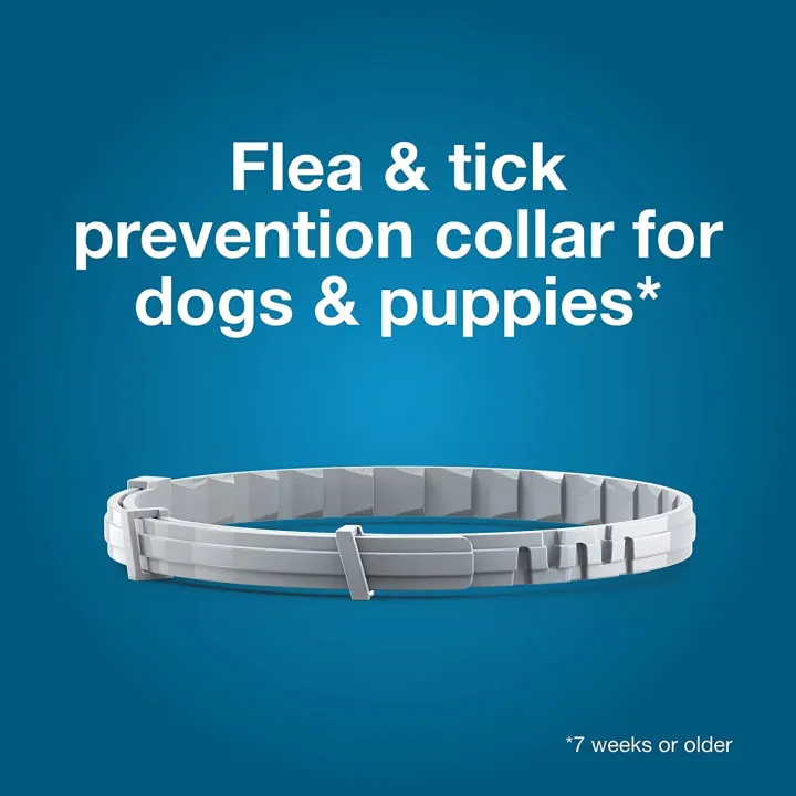 Seresto%20Elanco%20Repellent%20collar%20for%20Cat%20Small%20Dog%20Antiparasitic%20Adjustable%20Puppy%20Kitten%20Collar%20Breakaway%20Pet%20Accessories%20-%20Image%203