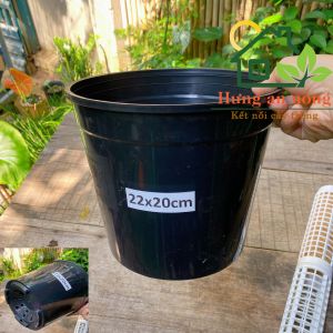 CND5STVN - Chậu tròn đen nhựa PVC dầy chuyên ươm trồng cây kiểng size 22x20cm (xem mô tả)