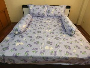 The Best Dream ชุดเครื่องนอนลายการ์ตูน ผ้าห่ม ปลอกหมอน ขนาด6ฟุตครบชุด6ชิ้น (ผ้านวม1 ผ้าปู1 ปลอกหมอนหนุน2 ปลอกหมอนข้าง2)