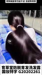 Plant extract shampoo ginger plant extract anti-hair loss hair shampoo