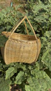 | ตระกร้า วงรี ขนาด 12 นิ้ว เคลือบเงาเรียบร้อย | ตระกร้า วงรี 12 นิ้ว เคลือบเงา |