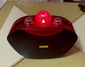 Dual Wireless Bluetooth Speaker Mobile Karaoke Speaker