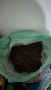 KOPI ACEH ASLI ARABIKA GAYO ORIGINAL SPECIALTY 1kg BIJI KOPI BUBUK HALUS MURNI KHAS ACEH ASLI.