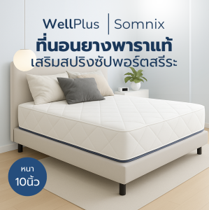 WellPlus ที่นอนยางพาราแท้เสริมสปริงพรีเมียม รุ่น Somnix หนา 10 นิ้ว โครงสร้างแข็งแรง นุ่มเด้งนอนสบาย รองรับน้ำหนักได้ดี