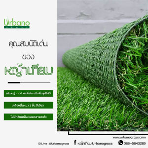 หญ้าเทียม พรีเมียม สีเขียวแซมน้ำตาล เส้นหญ้ายาว 2cm. กันUV ไร้สารตะกั่ว ไม่มีกลิ่นเหม็น เส้นหญ้ามีความสปริงตัวเอง ล้มแล้วลุกได้ ขนาด1x2ม.