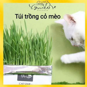 [Hỏa tốc]Bộ Kit Trồng Cỏ Mèo Thuỷ Canh Dành Cho Thú Cưng Tiện Lợi Tại Nhà Cho Mèo