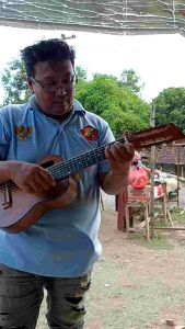 gitarlele lava terlaris