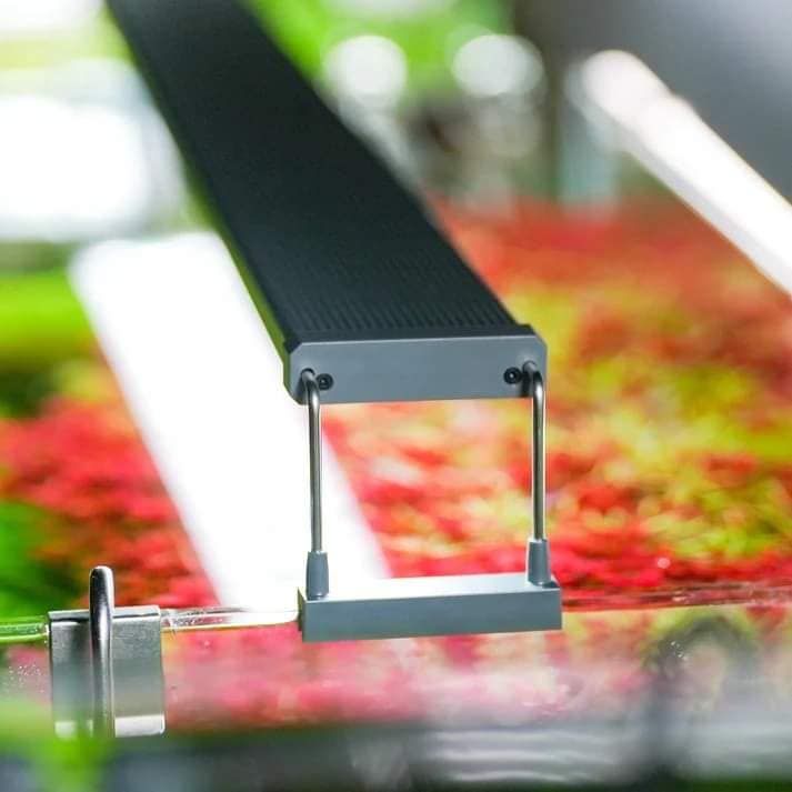 ĐènLed Chihiros B Series | Chỉnh APP | Điểm LED RGB | Bảo hành 6 tháng,phân khúc đèn giá rẻ cho hồ cá, thủy sinh