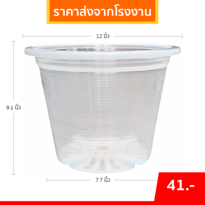 กระถาง กระถางต้นไม้ กระถางใส เบอร์ 12 นิ้ว Bundle 25 ใบ ชิ้น อัน