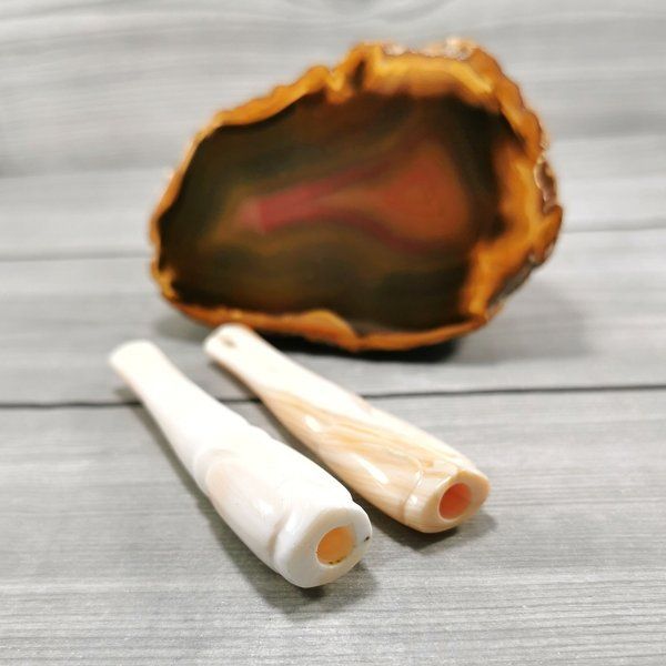 Pipa Rokok Kerang Asli Rasa Gurih Dan Nikmat | Lazada Indonesia