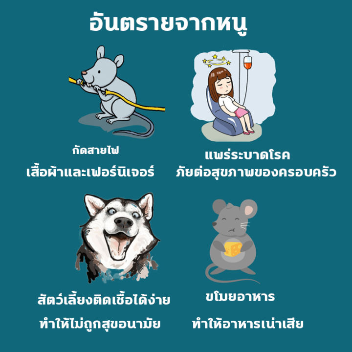 📣 massive javascript resource collection 📣 all... GE 📣 ซื้อ1 แถม 2 📣 เก่งกว่าแมว เจลไล่หนู สมุนไพรไล่หนู เครื่องไล่หนู ...