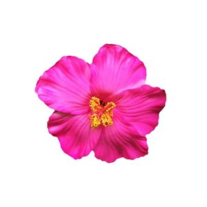 SNSQDYW0010 Headwear Hawaiian Flower Hair Clips Side Bangs Clip Romantic Artificial Flower Clips Fashionable Suitable Vacation Beach Parties Side Hairpin Women