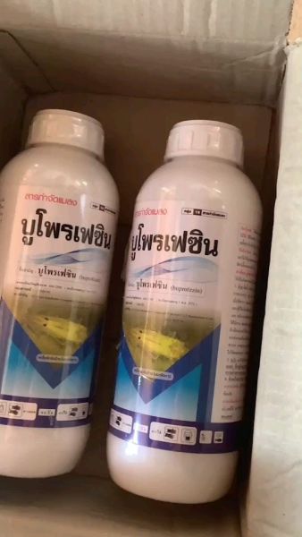 Buyer review video 2