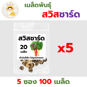 เมล็ดพันธุ์ ผักสลัด สวิสชาร์ด (Swiss Chard) คละสี ใบอ่อน ทานง่าย ปลูกได้ทุกฤดูกาล (1 ซอง 20 เมล็ด)