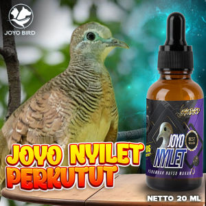 OBAT BURUNG NYILET PERKUTUT | VITAMIN BURUNG | OBAT BURUNG KURUS | PENAMBAH NAFSU MAKAN | NYILET PERKUTUT 20ML