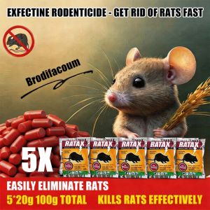 【BUY 5 TAKE 5】 Rat Killer Rat Poison Dont Die in the Room Rodenticide Lason Sa Daga Mouse Rat Repellent Mouse Fast-Acting Rat Bait 100% Effective Rat Repellant Rat Killer For Home Rat Poison For Big Rats Mouse Repellent Pellets