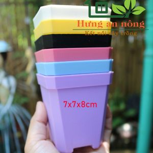 CV7DB - Sét 10 chậu nhựa dầy chất liệu PP trồng sen đá bonsai xương rồng ( không Kèm dĩa lót )