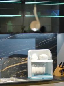 Rack with Cover Double Layer Dish Rack with Lid Dish Drainer Rak Pinggan Bertutup Rack Mangkuk